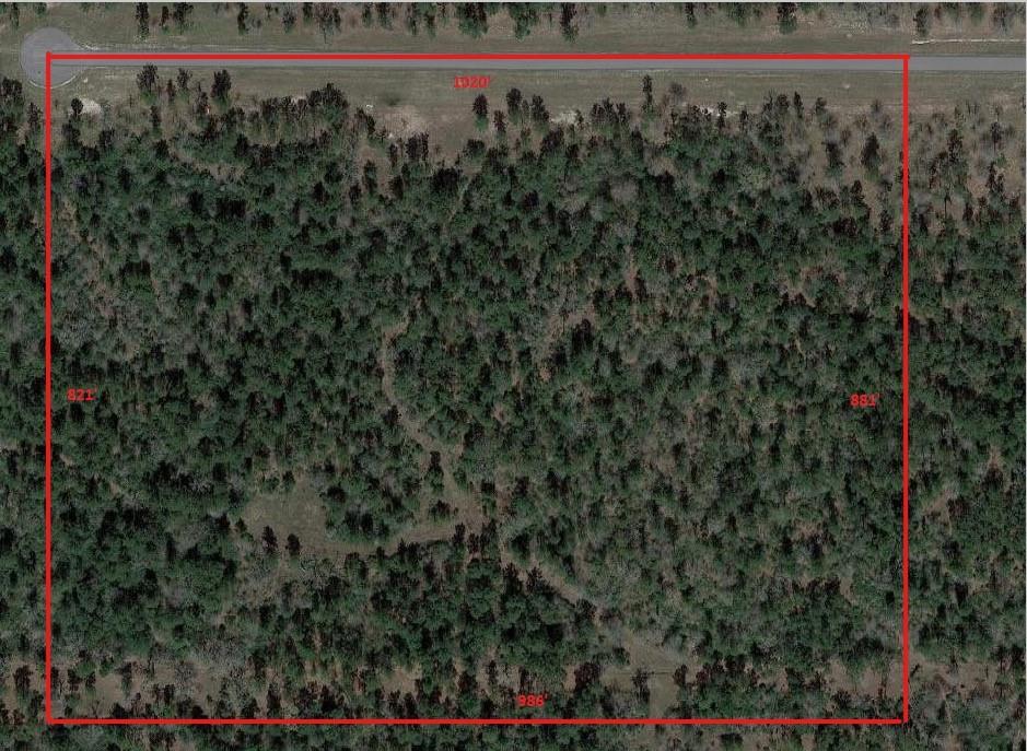 TBD Westview - 20 Acres, Huntsville, Texas image 1