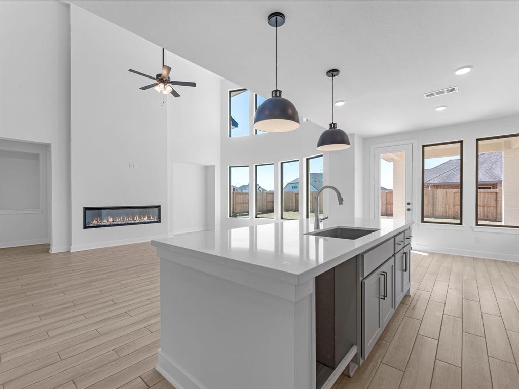 25259 Aster Hills Lane