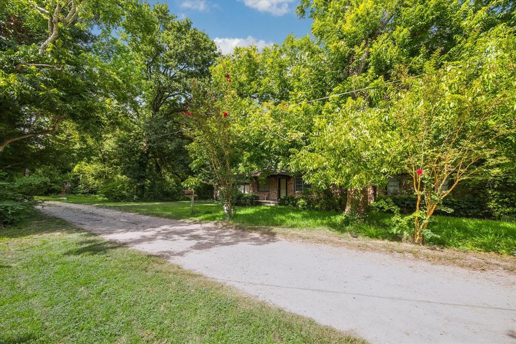 616 Spring Cypress Road