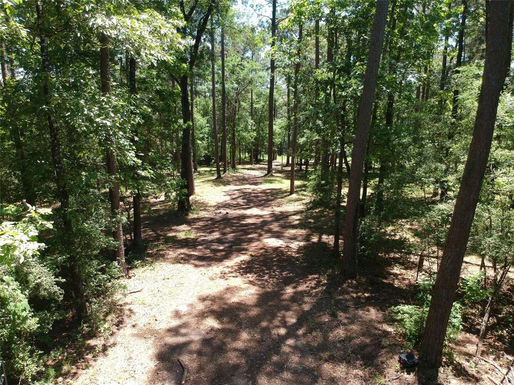 5183 Felix Currie Road, Point Blank, Texas image 3