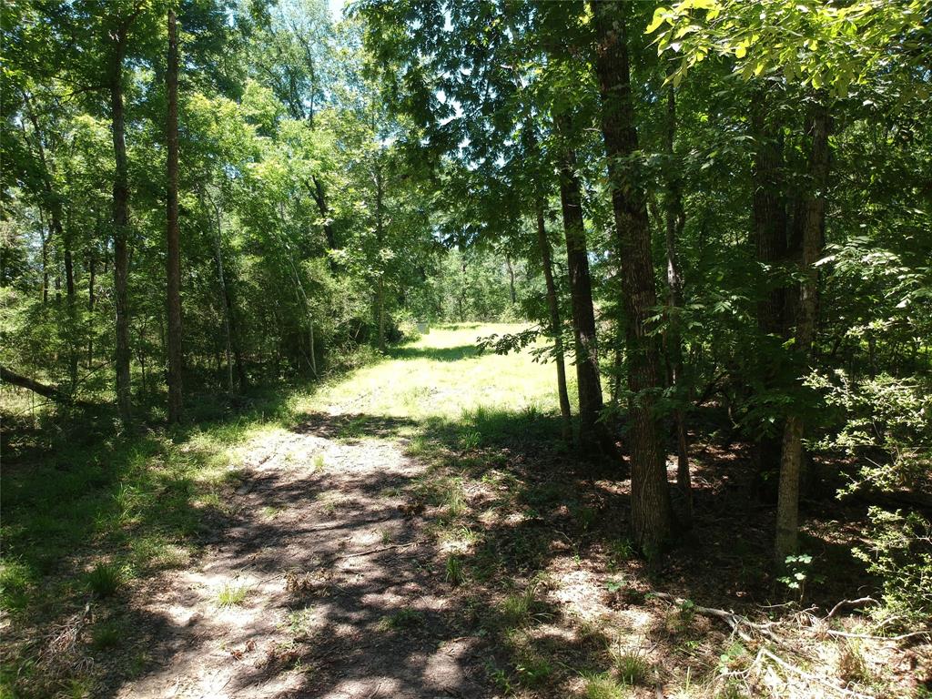 5183 Felix Currie Road, Point Blank, Texas image 1
