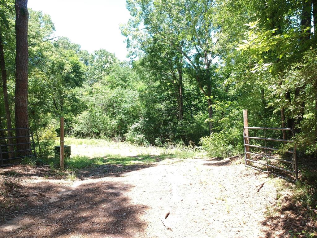 5183 Felix Currie Road, Point Blank, Texas image 2