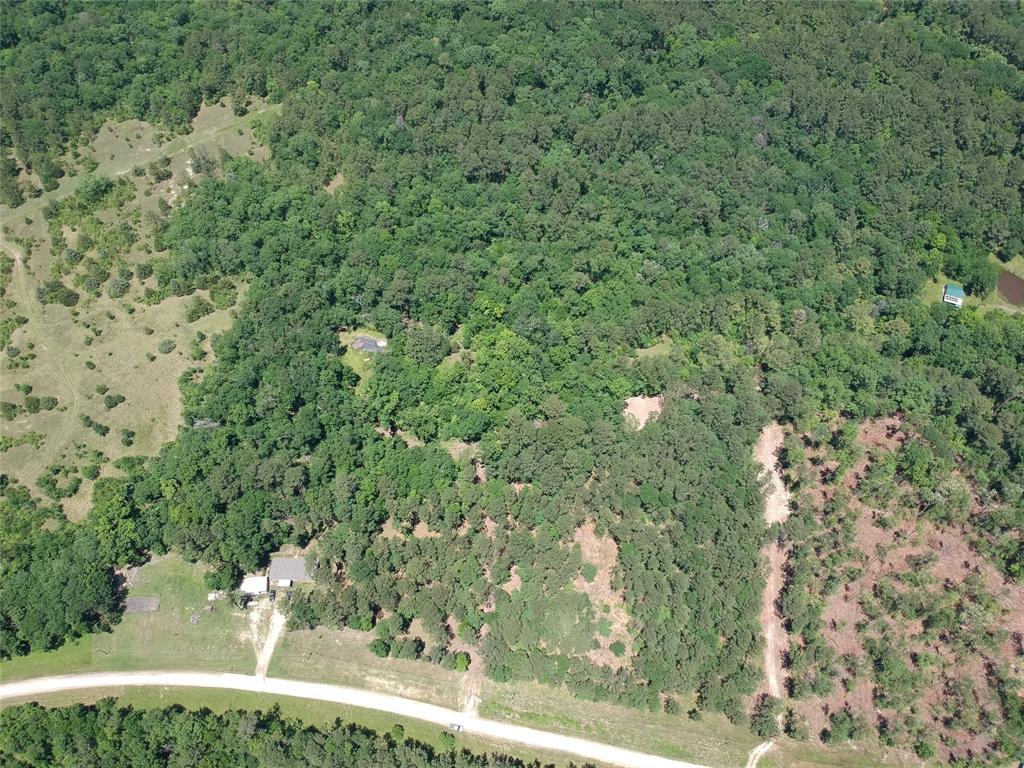 5183 Felix Currie Road, Point Blank, Texas image 6