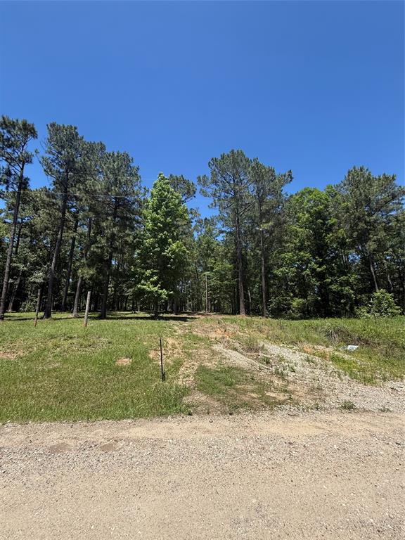 5183 Felix Currie Road, Point Blank, Texas image 7
