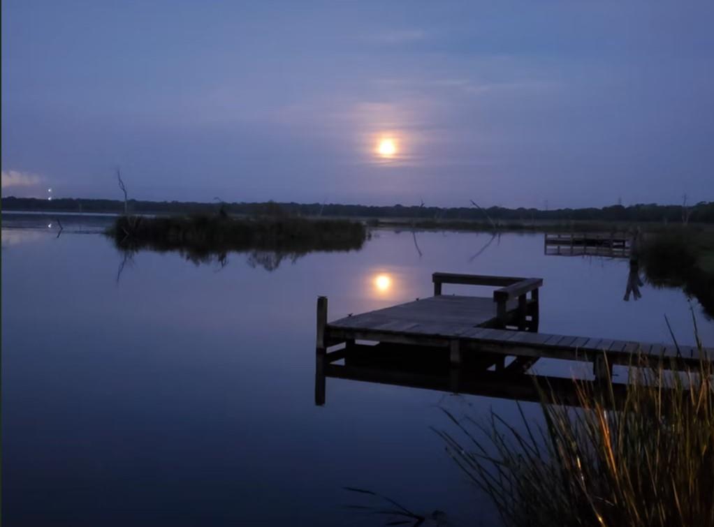 250 Stagecoach Trail, Angleton, Texas image 13
