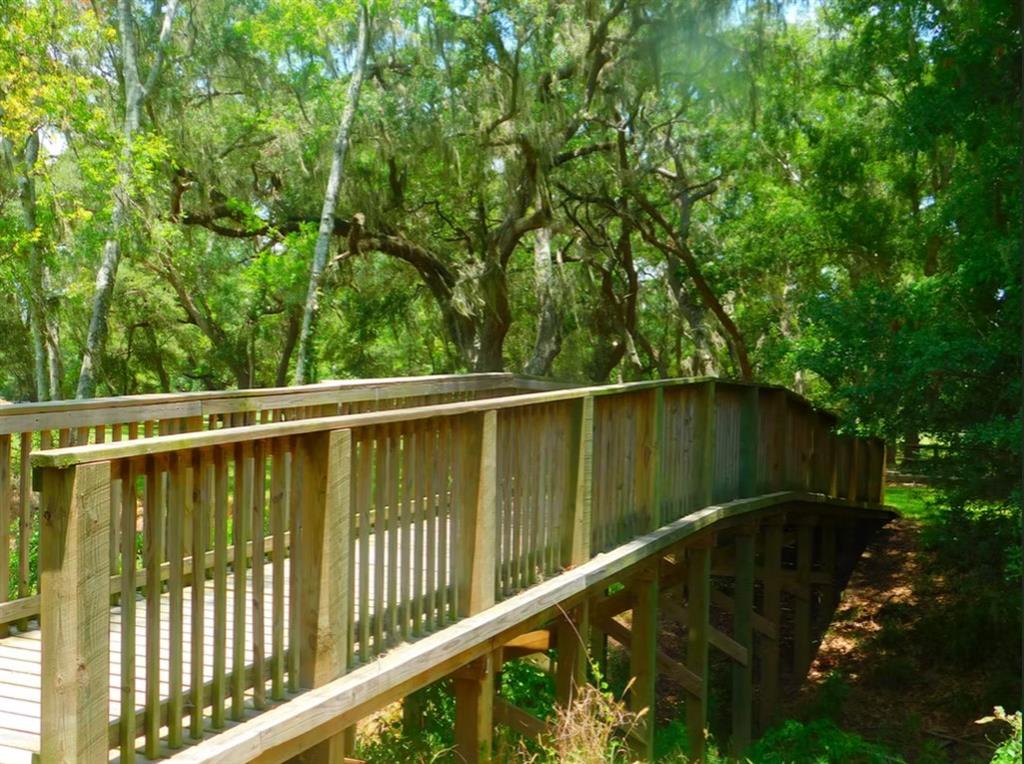 250 Stagecoach Trail, Angleton, Texas image 11