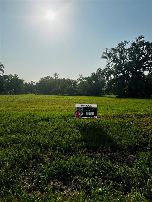 250 Stagecoach Trail, Angleton, Texas image 2