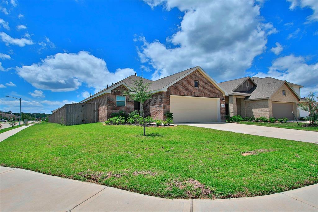 19326 Via Vinovo Court, New Caney, Texas image 4