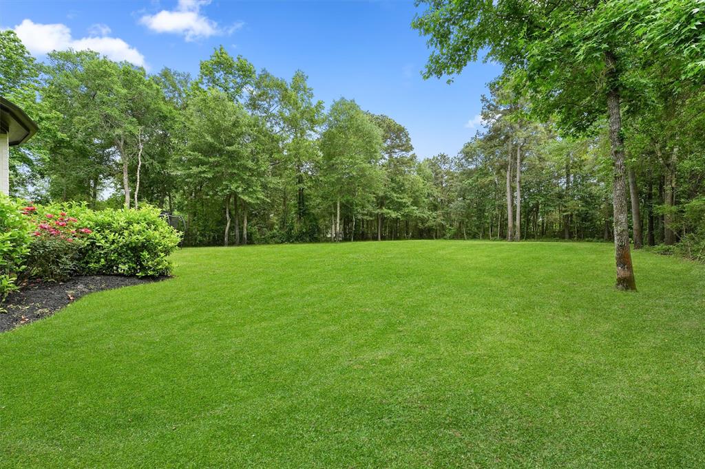 125 Elk Trace Parkway, Montgomery, Texas image 40