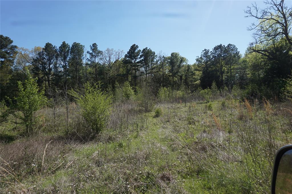 County Road 1870, Grapeland, Texas image 8