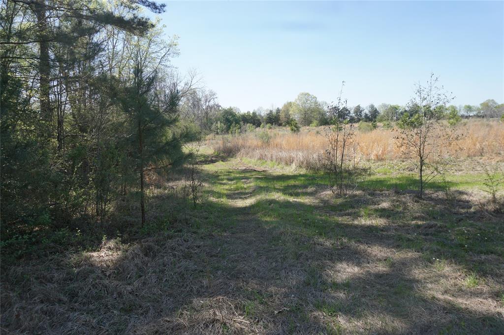 County Road 1870, Grapeland, Texas image 7