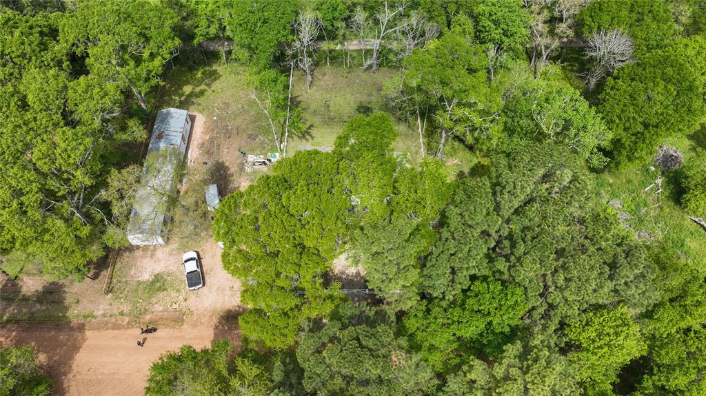 7865 Pine Cone Lane, Plantersville, Texas image 30