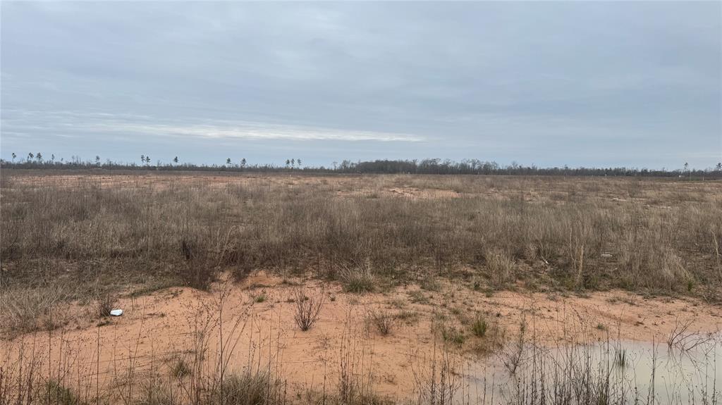 736 20, Cleveland, Texas image 3