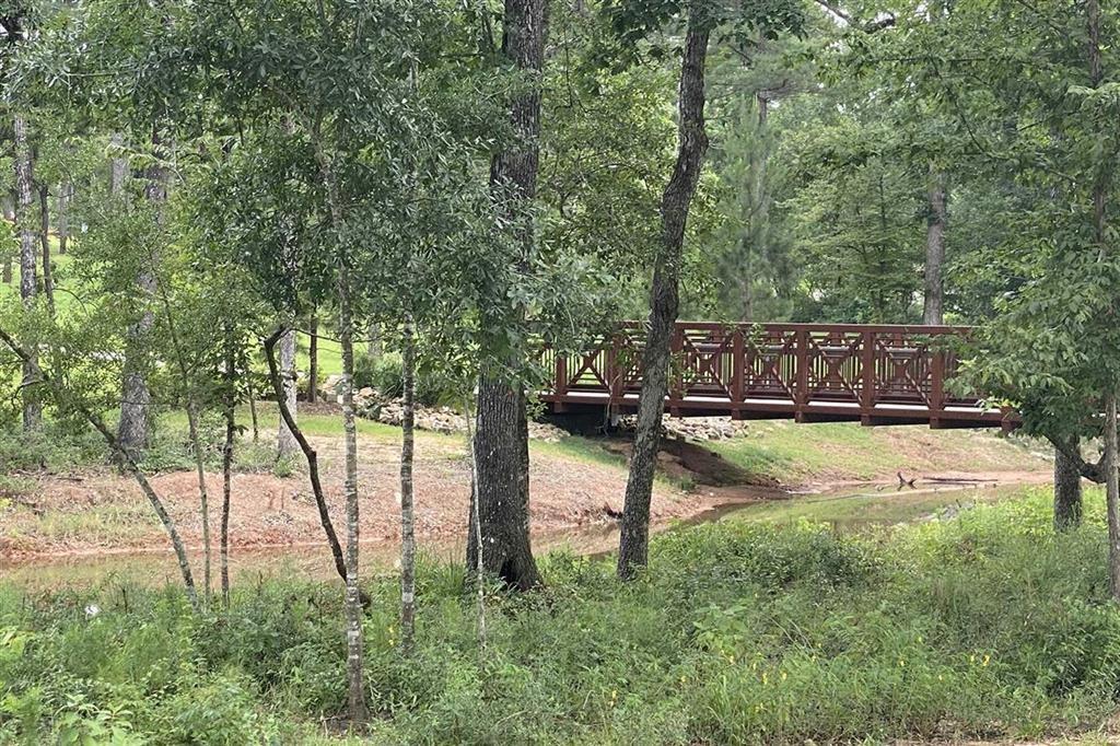 214 Wooded Rill Court, Willis, Texas image 30