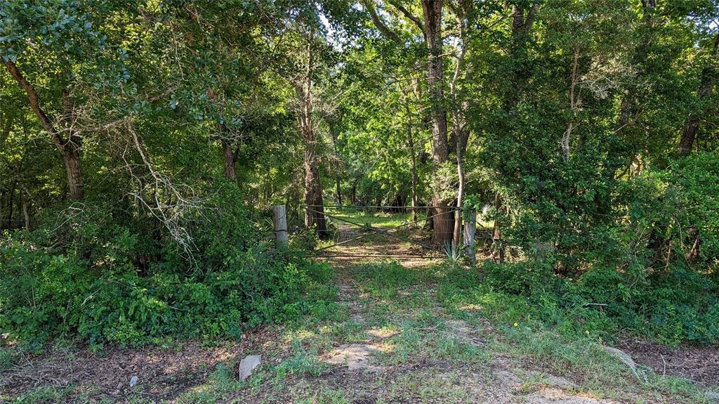 0000 Sawmill Road, Needville, Texas image 1