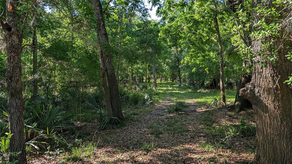 0000 Sawmill Road, Needville, Texas image 2