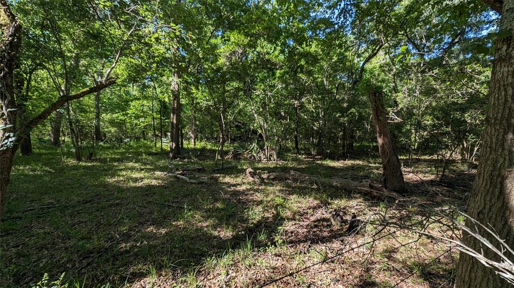 0000 Sawmill Road, Needville, Texas image 4