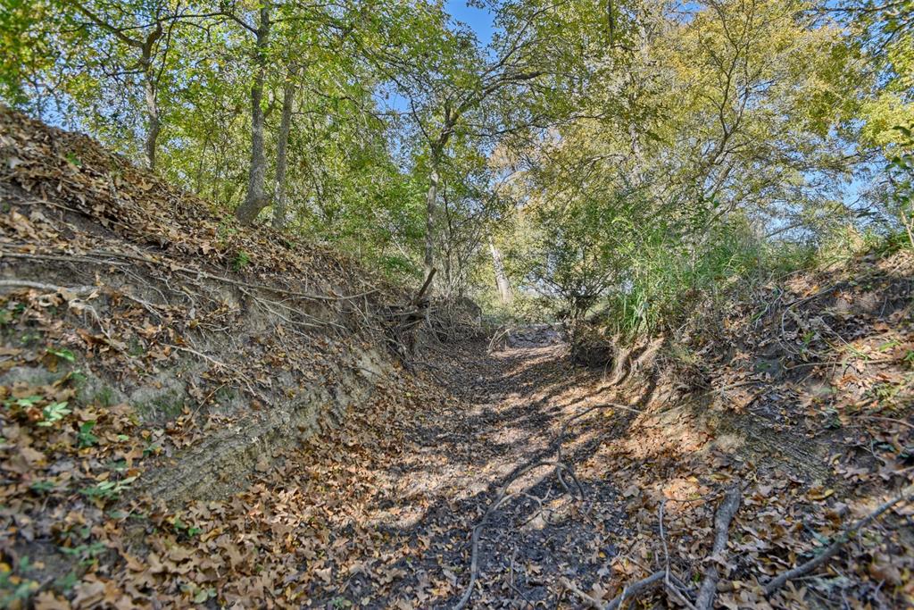 TBD Fm 2762, Flatonia, Texas image 13