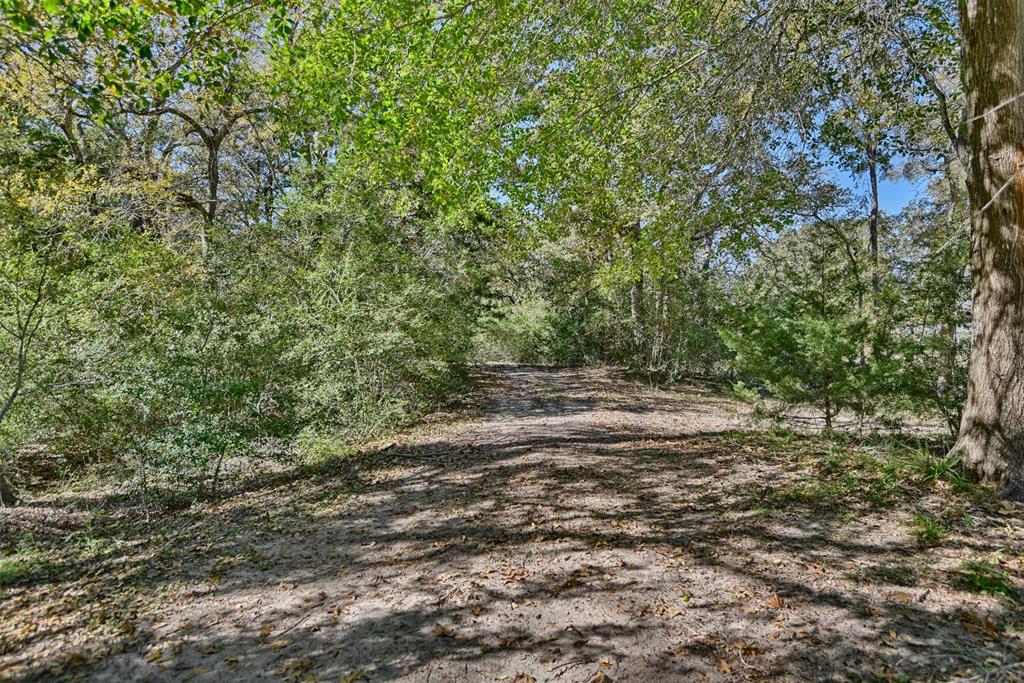 TBD Fm 2762, Flatonia, Texas image 9