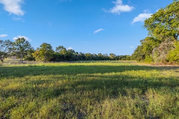 TBD Wendy Lane - Lot 19, Round Top, Texas image 4