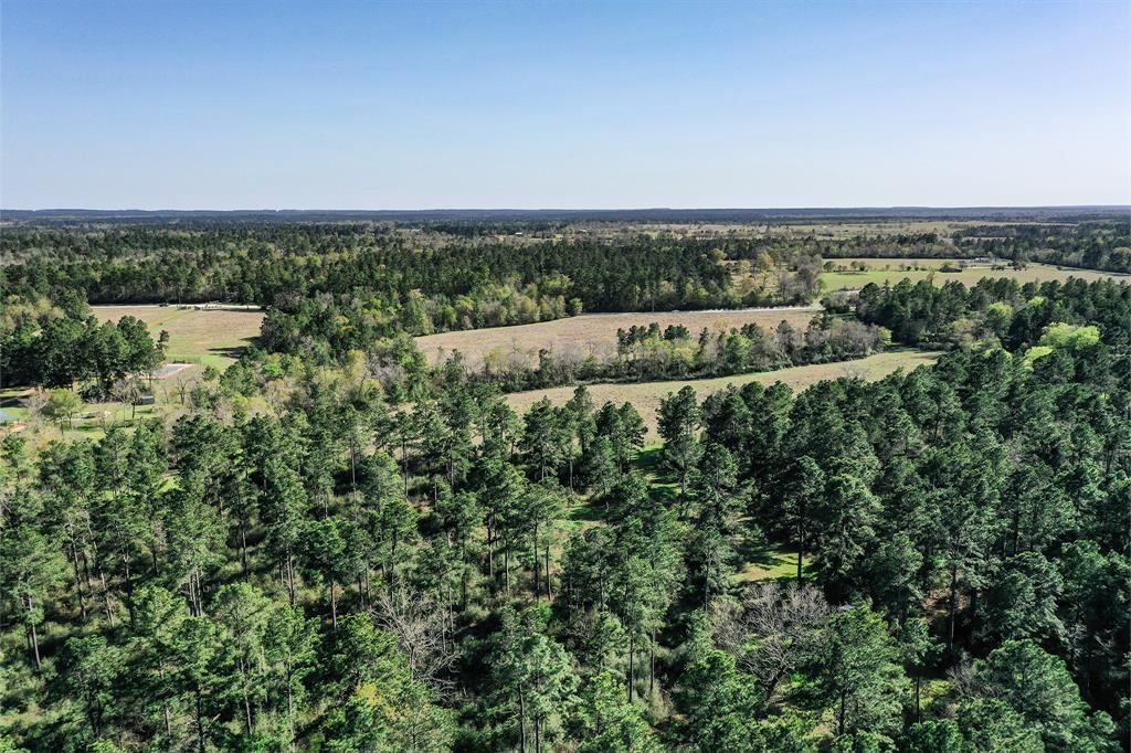 522 Round Prairie Rd Rd, Huntsville, Texas image 3