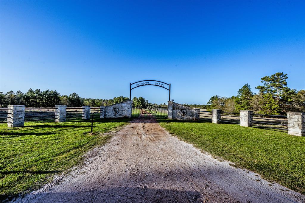 522 Round Prairie Rd Rd, Huntsville, Texas image 46