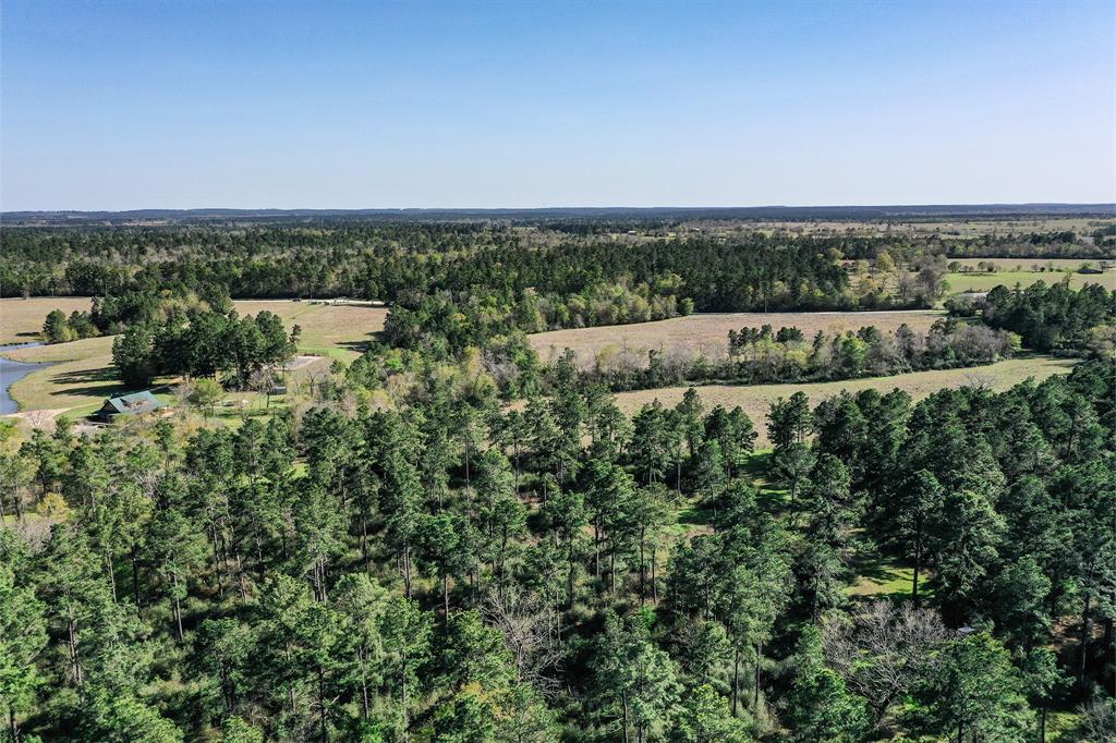 522 Round Prairie Rd Rd, Huntsville, Texas image 40