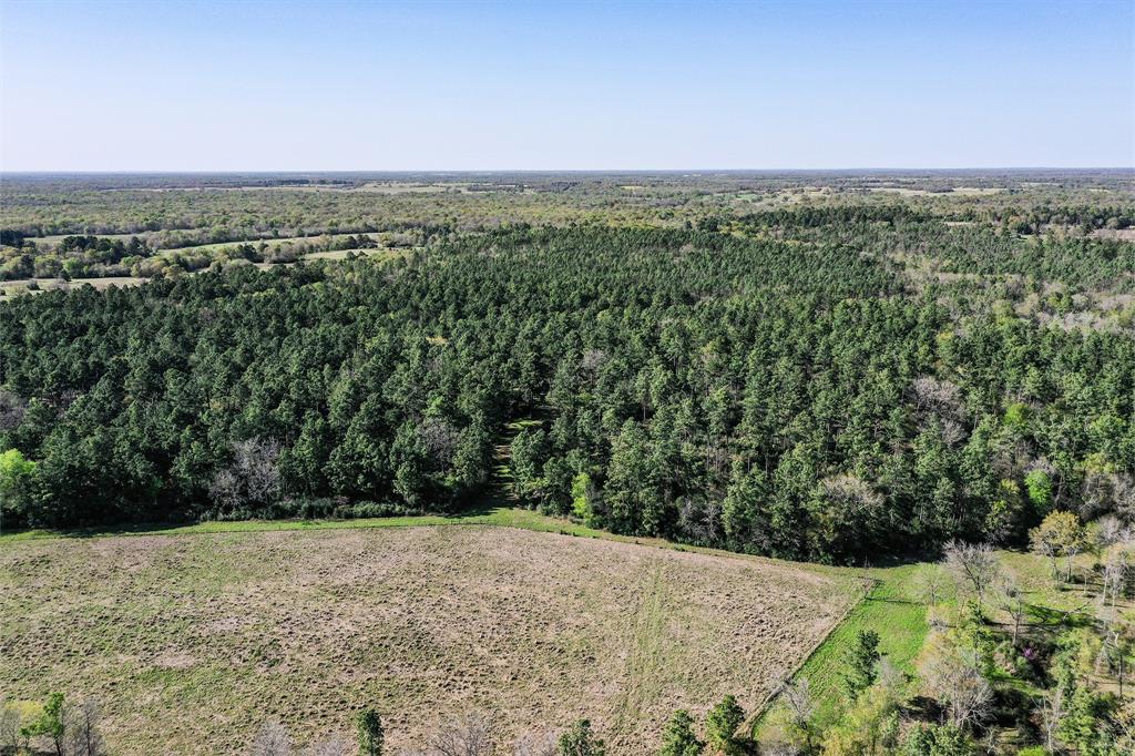 522 Round Prairie Rd Rd, Huntsville, Texas image 5