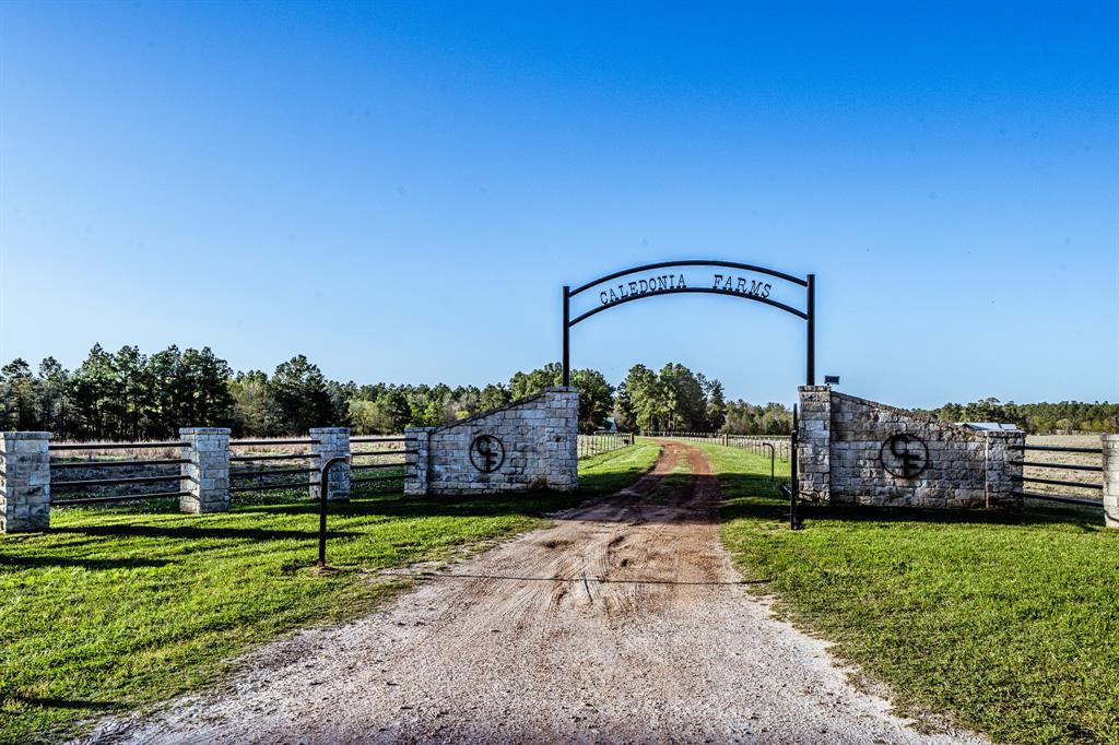522 Round Prairie Rd Rd, Huntsville, Texas image 39