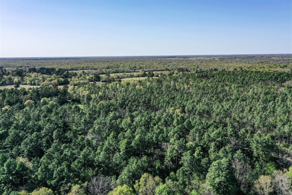 522 Round Prairie Rd Rd, Huntsville, Texas image 41