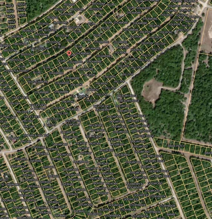 Lot 53 Plum Lane, Normangee, Texas image 3