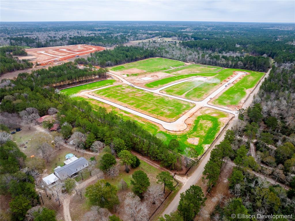 12367 Mccrorey Trails Court, Conroe, Texas image 5