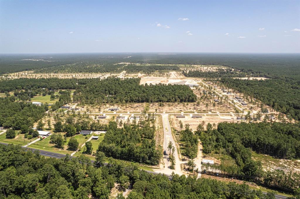 11803 Selma Court Ct, Conroe, Texas image 2