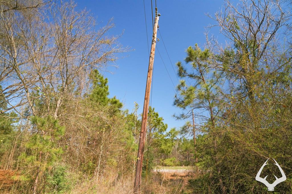 TBD 2 Us 69 South, Huntington, Texas image 21