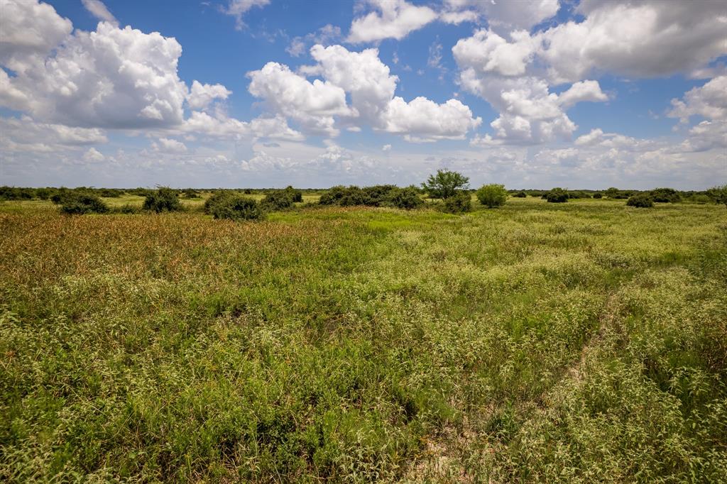 83 Acres County Road 18, Hallettsville, Texas image 4