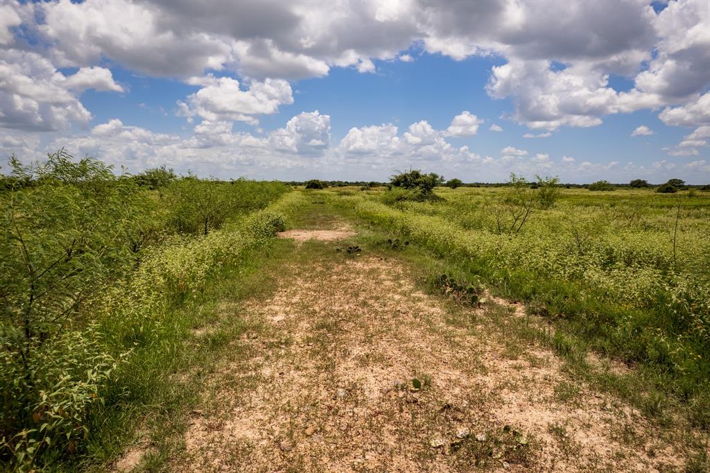 83 Acres County Road 18, Hallettsville, Texas image 17