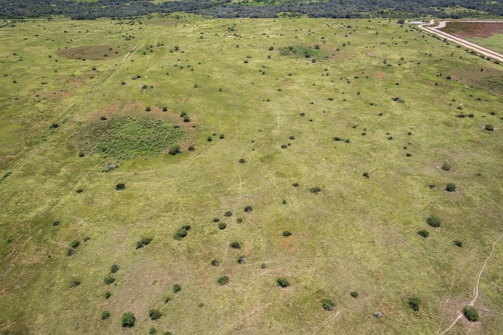 83 Acres County Road 18, Hallettsville, Texas image 5