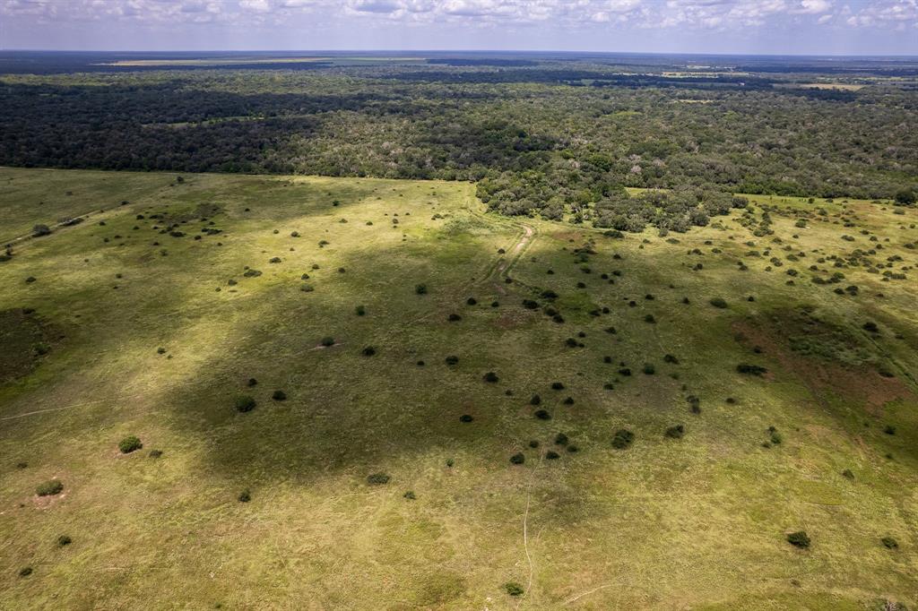 83 Acres County Road 18, Hallettsville, Texas image 9