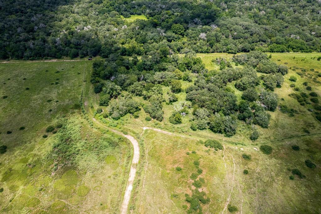 83 Acres County Road 18, Hallettsville, Texas image 10