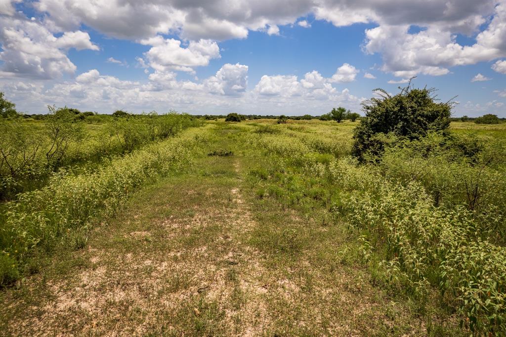 83 Acres County Road 18, Hallettsville, Texas image 18