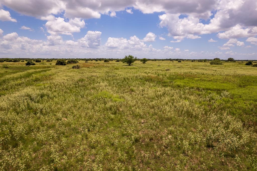 83 Acres County Road 18, Hallettsville, Texas image 14