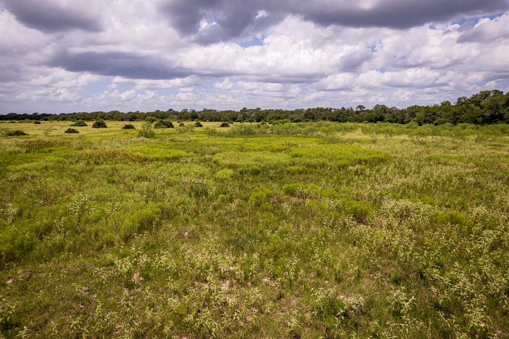 83 Acres County Road 18, Hallettsville, Texas image 15