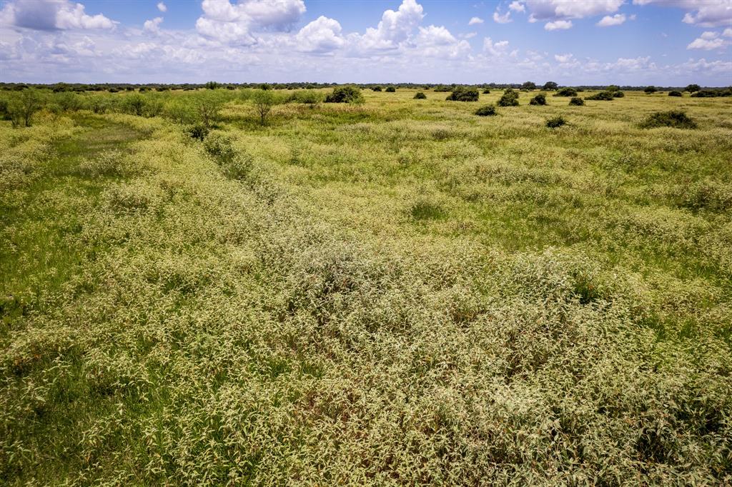 83 Acres County Road 18, Hallettsville, Texas image 13