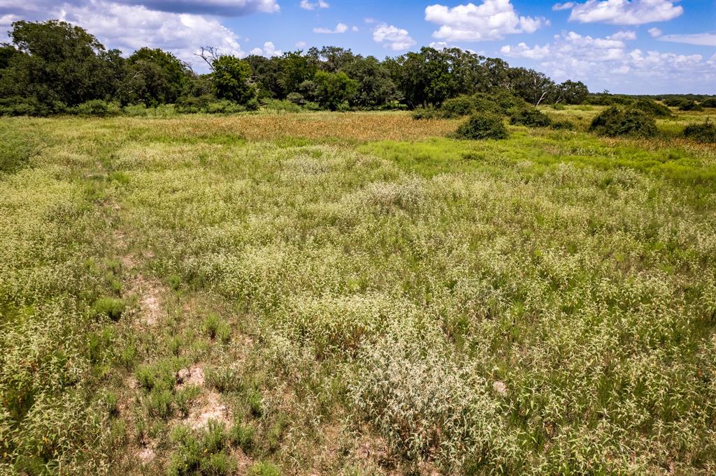 83 Acres County Road 18, Hallettsville, Texas image 16