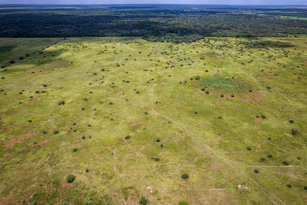 83 Acres County Road 18, Hallettsville, Texas image 3