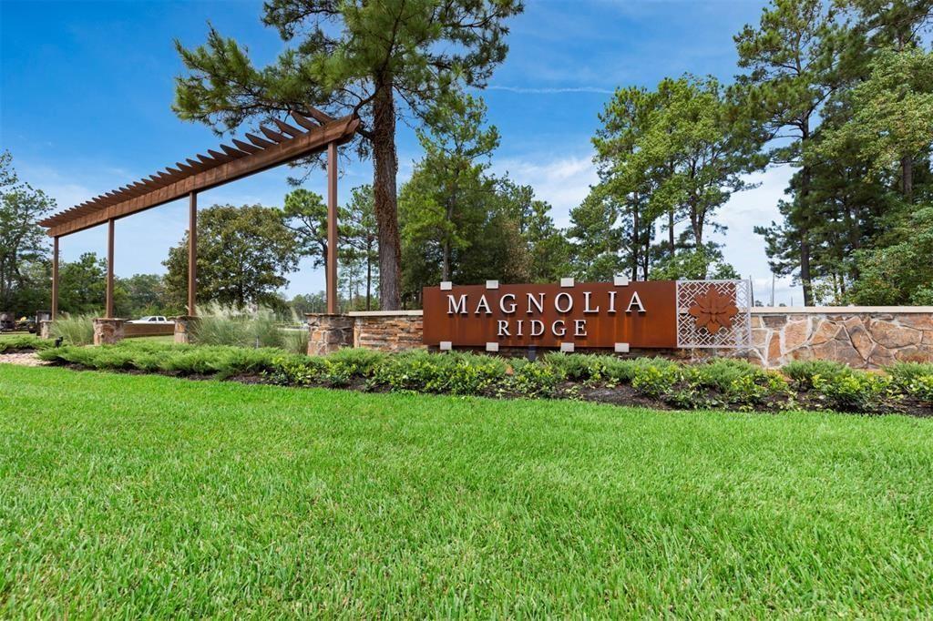 616 Spring Ashberry Court, Magnolia, Texas image 11