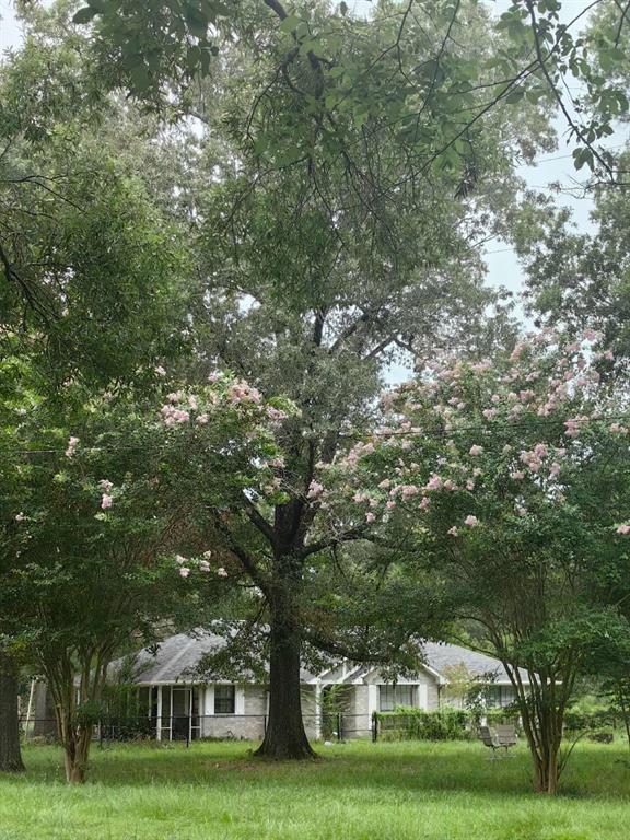 427 Pridgen Road, Livingston, Texas image 17