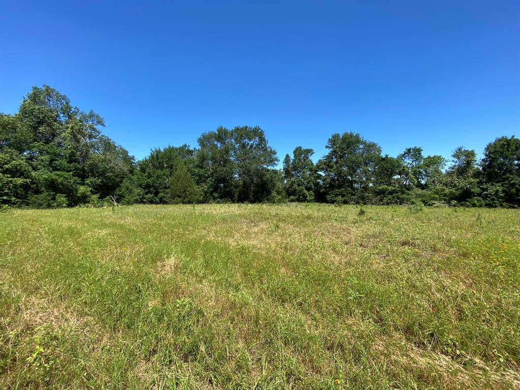 Hwy 7, Marquez, Texas image 10