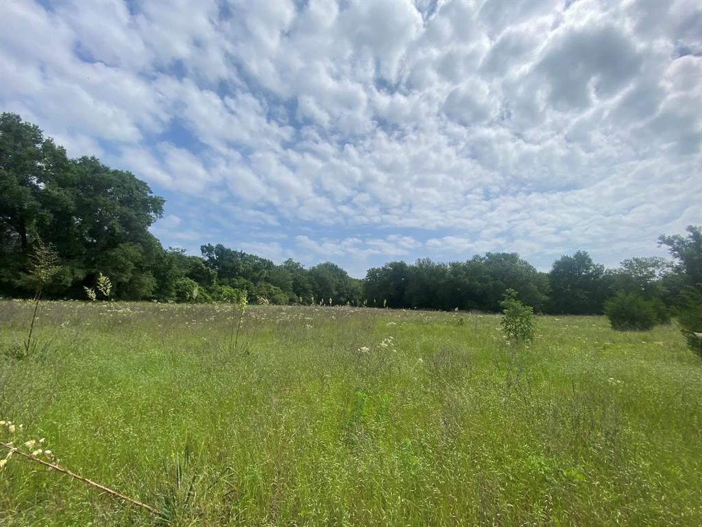 Hwy 7, Marquez, Texas image 3