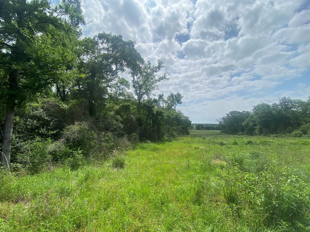 Hwy 7, Marquez, Texas image 9